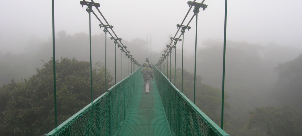 Monteverde Cloud Forest